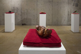 Laurel Roth: Flight of the Dodo, installation view
