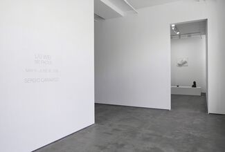 Sergio Camargo, installation view