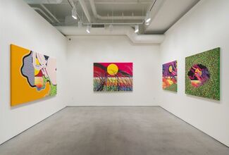 Happy Place, installation view