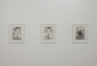 Carroll Dunham — Works On Paper, installation view
