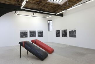 Pain, installation view
