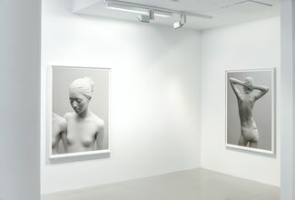 Don Brown - Yoko, installation view