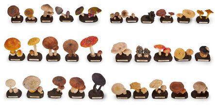‘Didactic Collection of Rubber Mushrooms’, ca. 1930