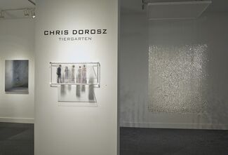 CHRIS DOROSZ  Tiergarten, installation view