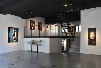 C215 - 10 years of painting (2006-2016), installation view