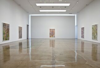Simmons & Burke: Dutch Masters, installation view