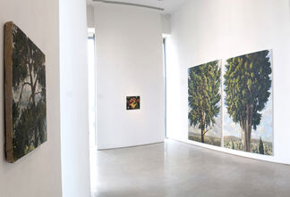 Ilan Baruch | Solo Show, installation view