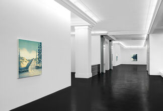 Natural Selections, installation view