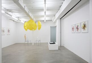 Pulled, installation view