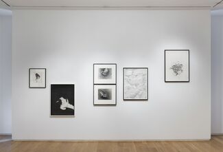 Karl Haendel & Jay DeFeo: Pink Cup and The Facts, installation view
