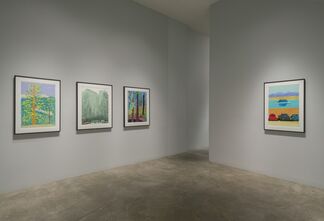David Hockney: The Yosemite Suite, installation view