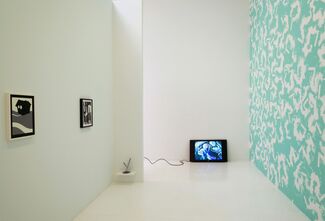 Particular Pictures, installation view