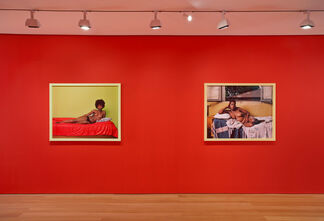 New Flower | Images of the Reclining Venus, installation view