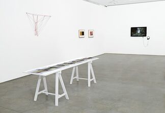 The Naturalists, installation view
