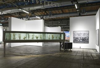 DITTRICH & SCHLECHTRIEM at abc art berlin contemporary 2015, installation view
