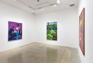 Patrick Bayly: like a lion, my hands and my feet, installation view