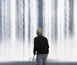 Hiroshi Senju: Platinum Works