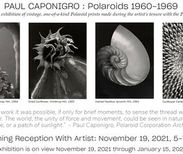 Paul Caponigro: Polaroids 1960-1969