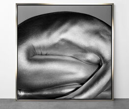 ARGENTUM by Guido Argentini