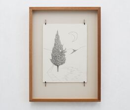 The Pine and the Moon
