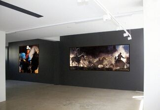 Beyond Fences, installation view