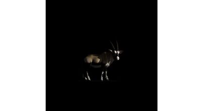 Piero Viti, ‘Bestiarium Minimum -Onyx’, 2018