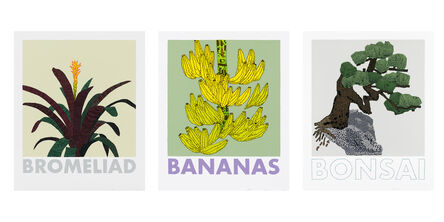 Jonas Wood, ‘Bromeliad | Bananas | Bonsai [Complete set of Fundraising Editions for Printed Matter]’, 2020-2022