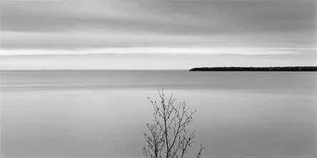 Brian Kosoff, ‘Tree, Lake Superior’, 2007