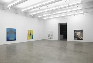 Everyone Knows What It Looks Like, installation view