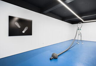Gas foraday, installation view