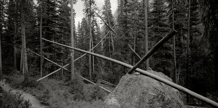 Peter de Lory, ‘Jack Straw Timber, Sawtooth Mountains, Idaho’, 2000