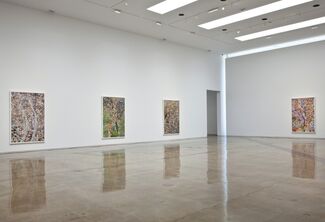 Simmons & Burke: Dutch Masters, installation view