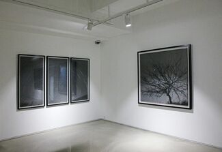Gallery BK at Art Central 2017, installation view