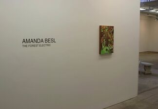 The Forest Electric: Amanda Besl, installation view