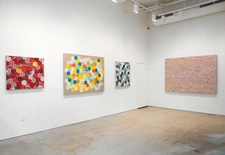 American Bloom, installation view