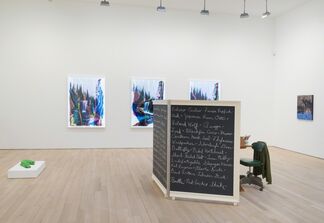 The Fifth Season, installation view