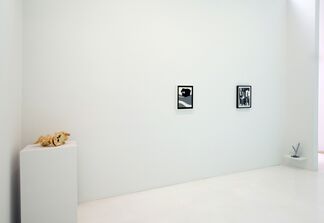Particular Pictures, installation view
