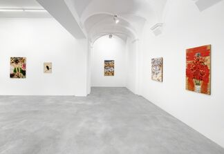 BILL LYNCH curated by Matthew Higgs, installation view