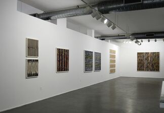 ALEJANDRA PADILLA - Collages & Drawings, installation view
