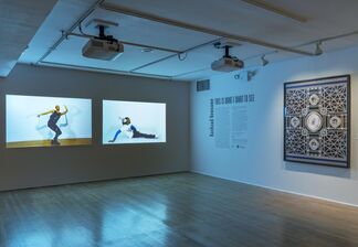 Rashaad Newsome: THIS IS WHAT I WANT TO SEE, installation view