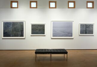Michael Lange: WALD | fluss, installation view