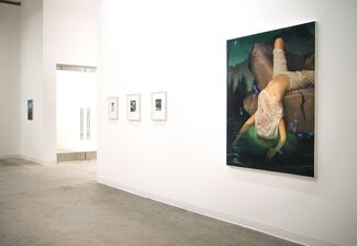 Laura Krifka: Reap the Whirlwind, installation view