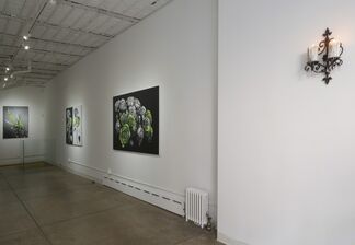 Duality, installation view