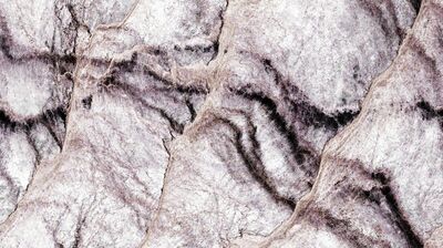 Driessens & Verstappen, ‘E-volved Cultures, Succession 6’, 2017