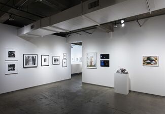 Me, installation view