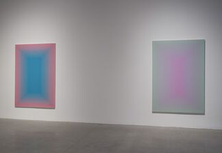 Wang Guangle: Duo Color, installation view
