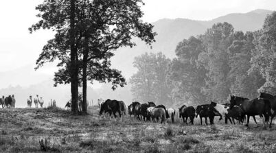 Grace Biltz, ‘Freedom’, 2019