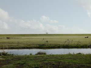 Helicopter Returning From Deep Water Horizon Spill, Venice, Louisiana