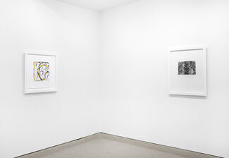 BRICE MARDEN: Prints from 1972 to 1998, installation view