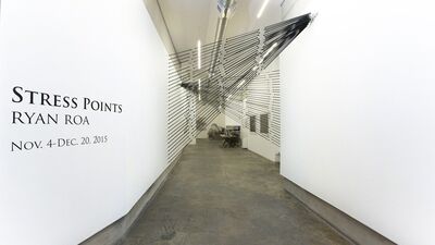Stress Points: Ryan Roa, installation view